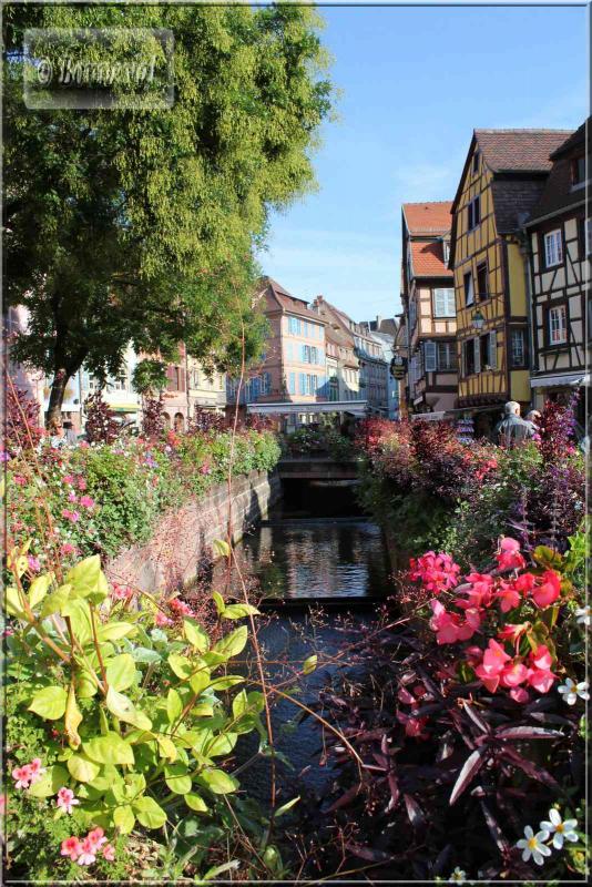 Colmar, l'Esprit de l'Alsace la Petite Venise
