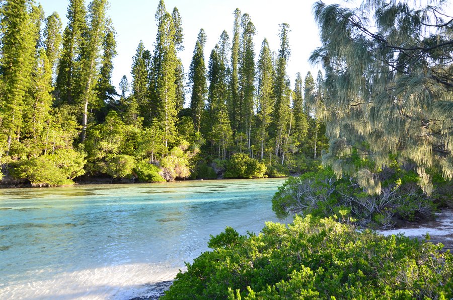 ile des pins caledonie ile loyaute schnoebelen