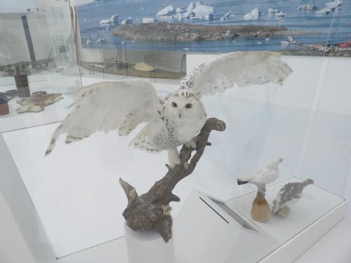 Musée des Mondes Polaires, séjour camping-car