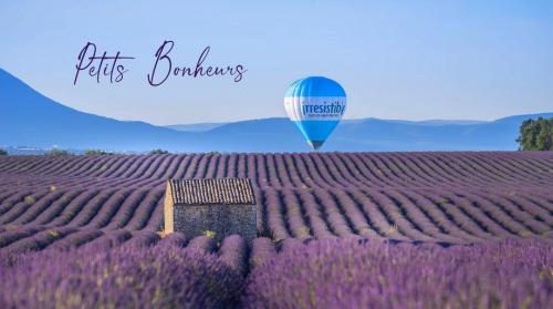 Entre Alpes et Provence