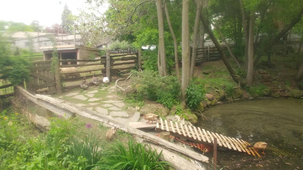 Long Weekend in Toronto from May 17th 2024 until May 20th 2024: Second Day