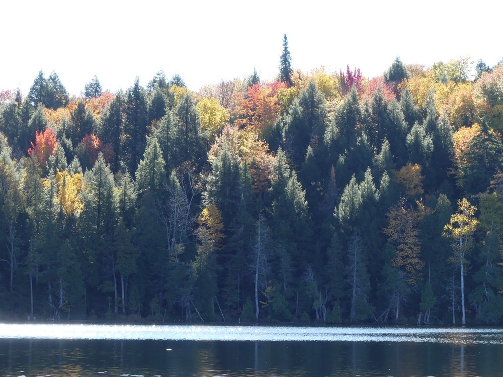 Rabaska à la pourvoirie du Lac Blanc au Canada...