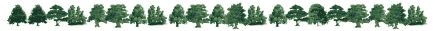 Choisir son sapin  ...