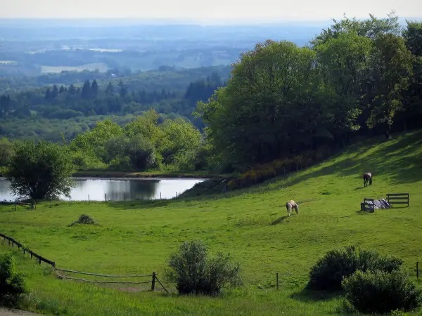 Département de la Haute-Vienne
