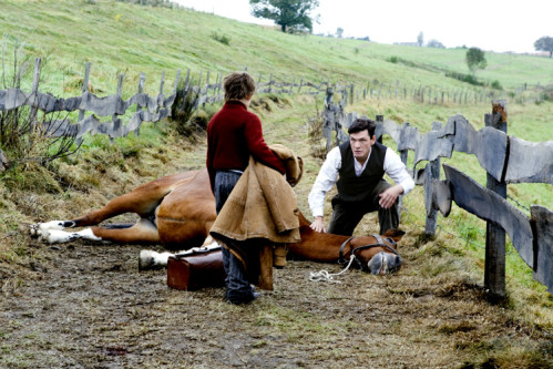 Le cheval blessé