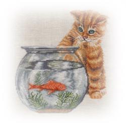 Le chat et le poisson rouge fin