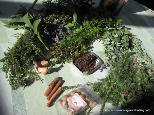 Vinaigre des 4 voleurs (révisions 3)