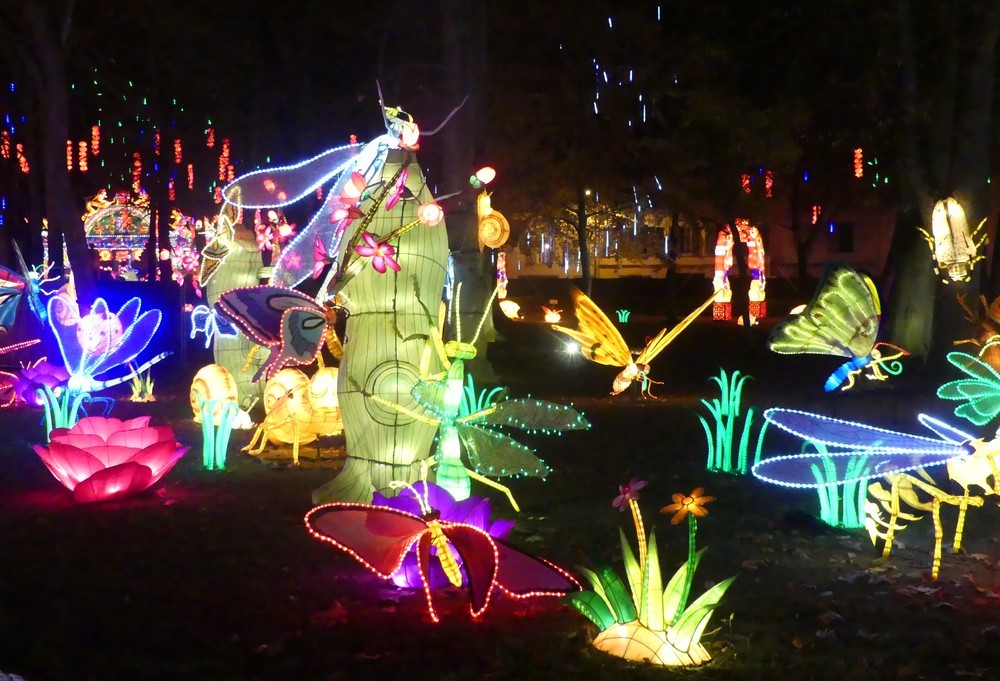 Des insectes fabuleux au Festival des Lanternes Chinoises à Gaillac...