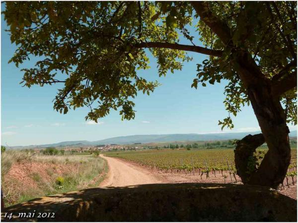 (J40) Granon / Azofra 14 mai 2012