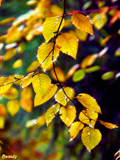 106242324 854536 0059