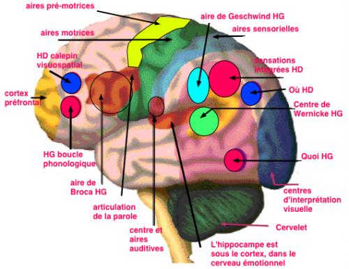 Savez vous ce que sont nos mémoires ?