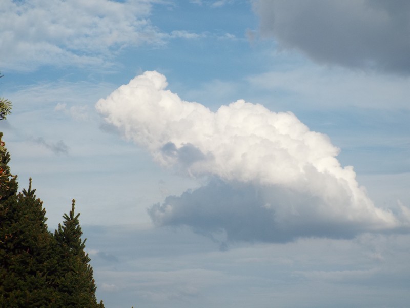 nuage