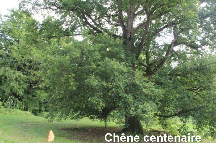 Département de la Somme