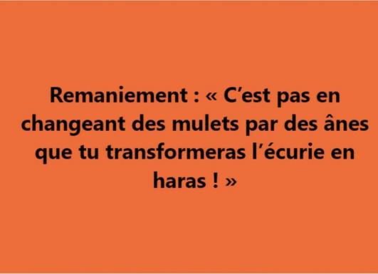 Peut être une image de texte qui dit 'Remaniement < C'est pas en changeant des mulets par des ânes que tu transformeras l'écurie en haras!> >>'