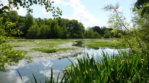 RANDO 15 - Mercredi 5 juin - RIONS - Lac de Laromet