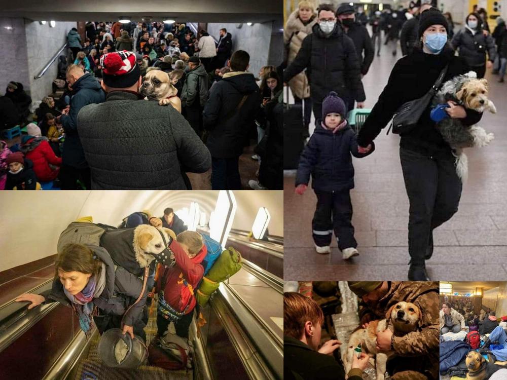 De tout ♥ avec eux