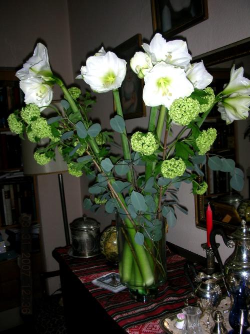 Ma Collection de Photos de Fleurs