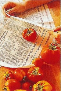 Faites-les rougir ..."les tomates" ..