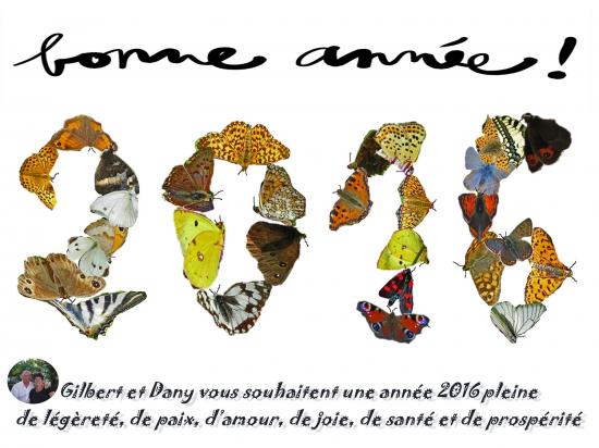 BONNE-ANNEE-2016