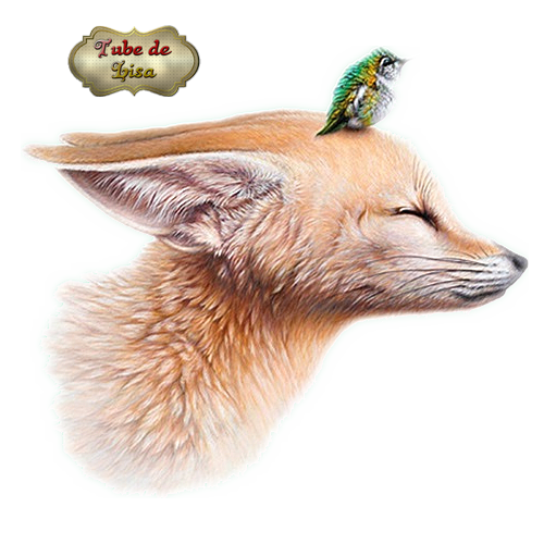 Animaux série 10