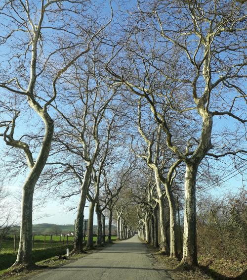 Unsi joli Parc