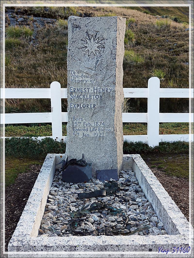 Le cimetière de Grytviken, avec la tombe de Sir Ernest Shackleton, surplombe King Edward Cove - Géorgie du Sud