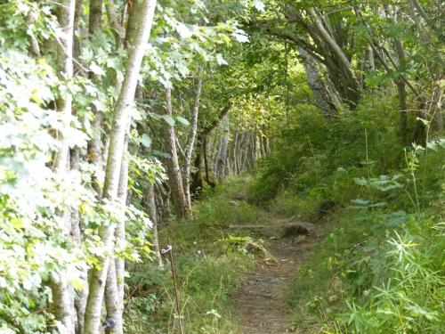 Lac de Saint Léger (St Jean-Montclar)