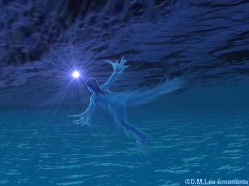 L'extase du vide de John Lilly