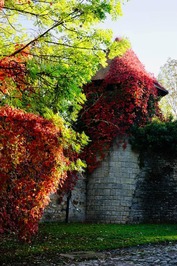 Peut être une image de silo, pont couvert et les Cotswolds