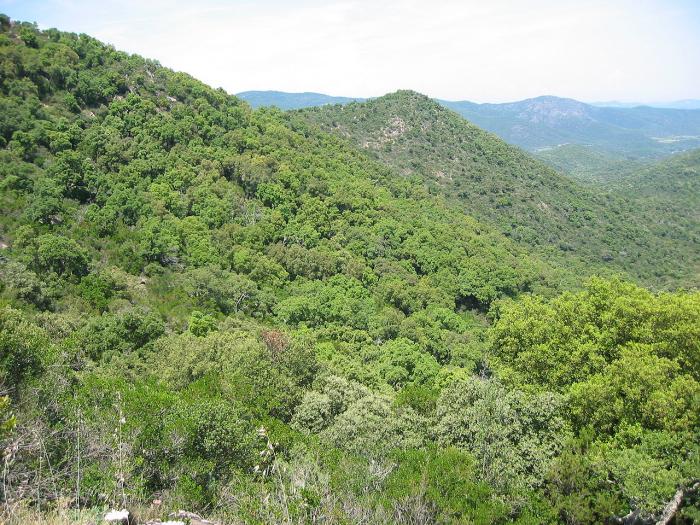 Département du Var