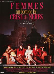 FEMMES AU BORD DE LA CRISE DE NERF BOX OFFICE FRANCE 1989