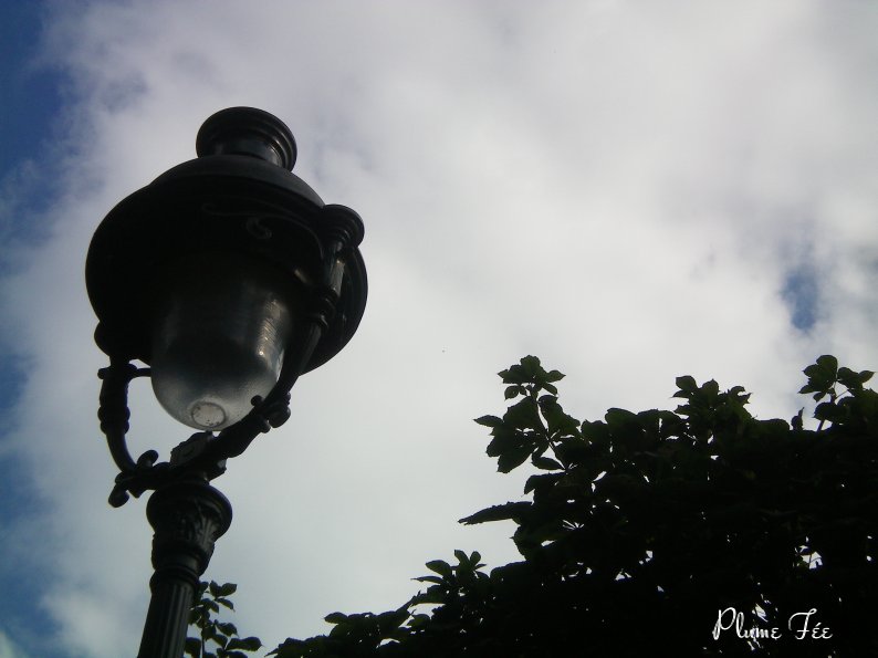 Image028.jpg