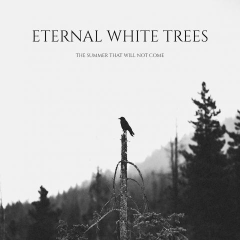 ETERNAL WHITE TREES - Les détails du premier album The Summer That Will Not Come