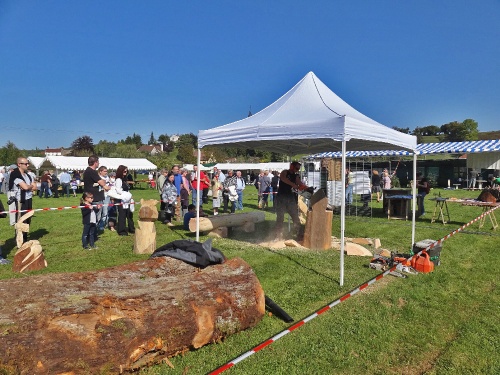 La fête de l'Automne à Leuglay...