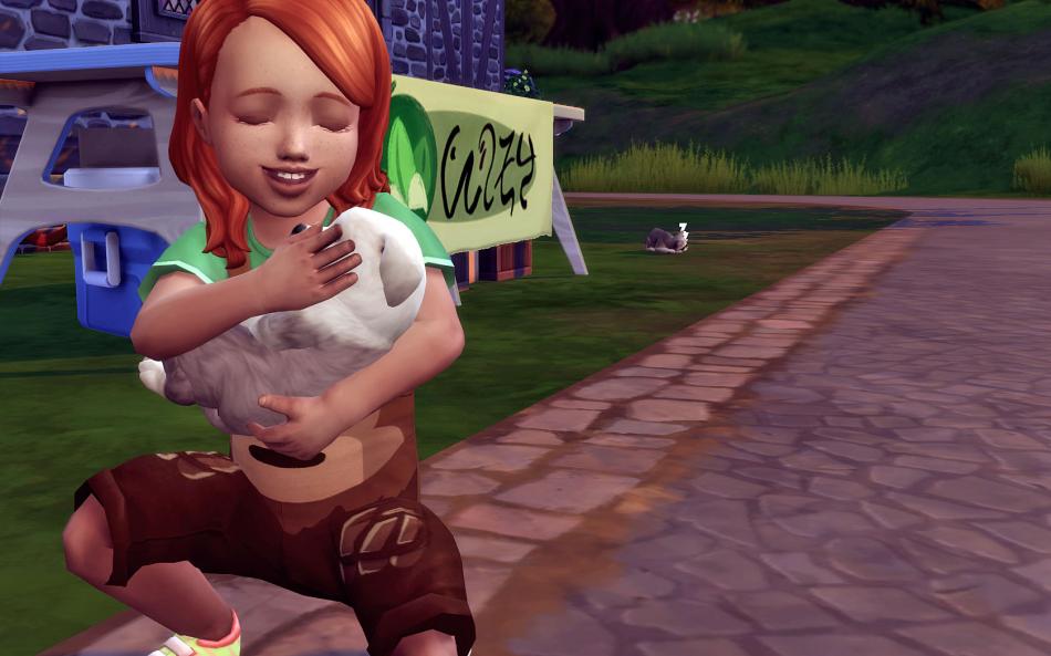 [CALF] Eté 3 - Semaine 13 - Jours 87 à 91