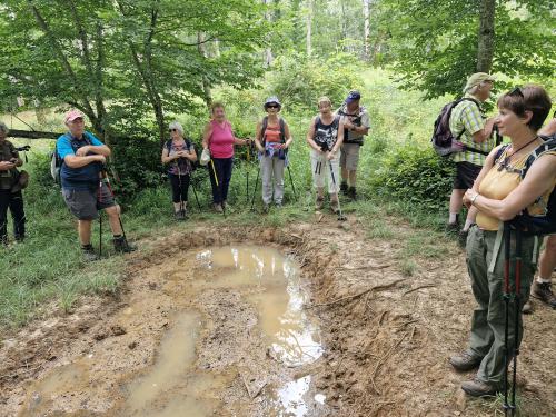 "Le long du Ru Blanc" - Mercredi 17 juillet 2024