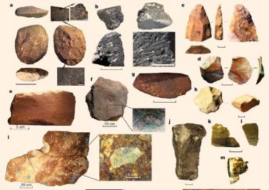 8 - L'expansion des Homo sapiens