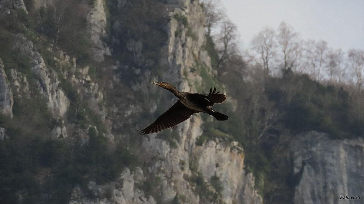au lac Castet  (dept 64)
