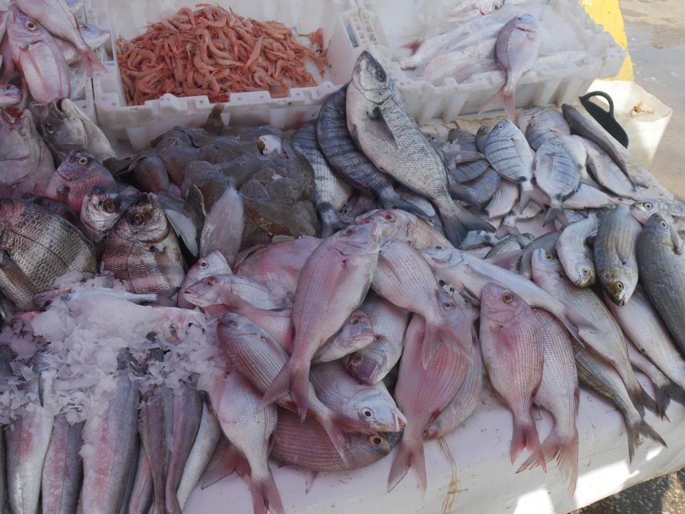 Larache