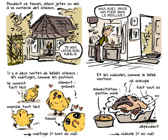 La Ménagerie du Jardin des Plantes, fête ses 220 ans cette année !