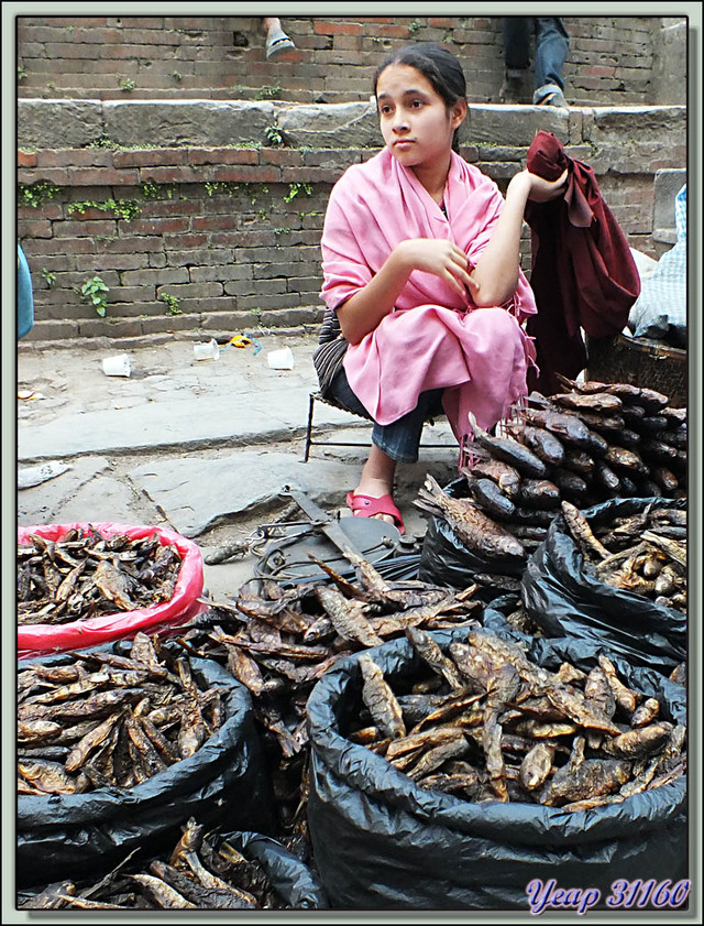Blog de images-du-pays-des-ours : Images du Pays des Ours (et d'ailleurs ...), La petite vendeuse de poissons fumés - Katmandou - Népal