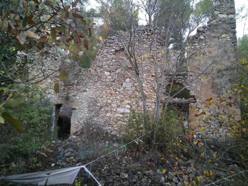 Campement abandonné, rebus de cyclo : Forêt à l'Orée de la ville