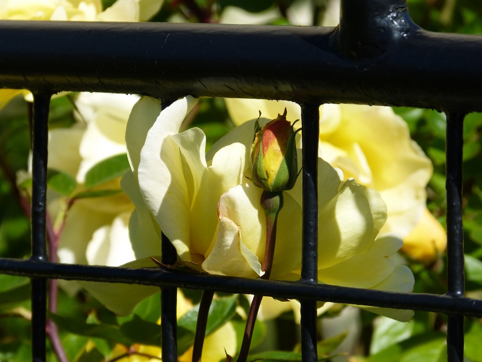 Rencontre avec un artiste peintre