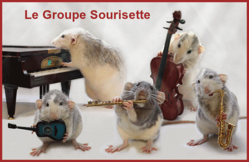 La Ronde Des Animaux.