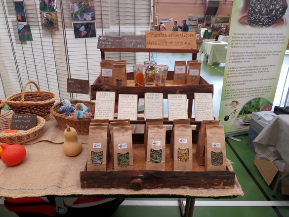 beaucoup d'artistes et artisans d'Art ont exposé au "salon des champignons" 2023 de la Société Mycologique du Châtillonnais