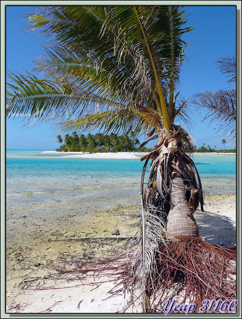 Erosion - Motu Fatonu - Atoll Tikehau - Tuamotu - Polynésie française