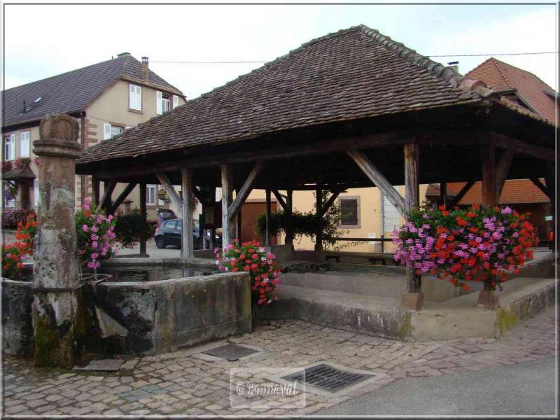 Alsace Haut-Rhin Route des Vins Hunawihr Fontaine du Vignoble