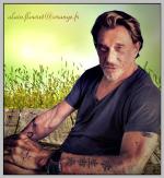 Fond ecran johnny hallyday009