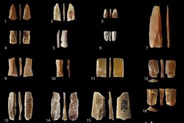 8 - L'expansion des Homo sapiens