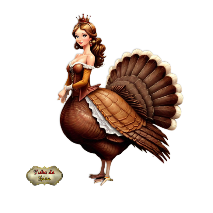 Autour de la dinde 3